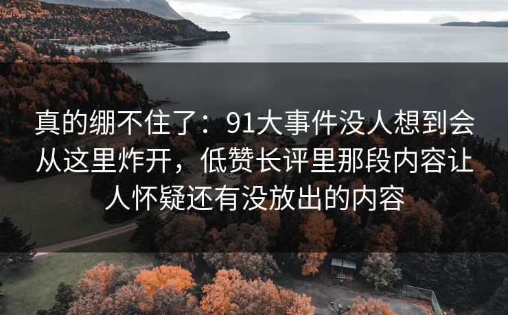 真的绷不住了：91大事件没人想到会从这里炸开，低赞长评里那段内容让人怀疑还有没放出的内容