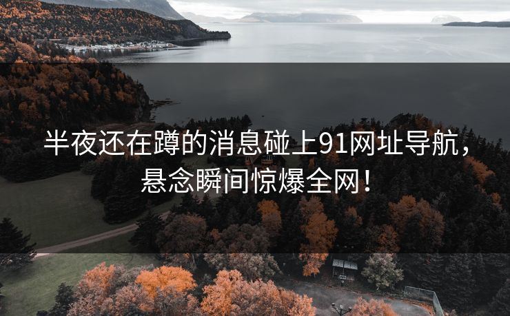 半夜还在蹲的消息碰上91网址导航，悬念瞬间惊爆全网！