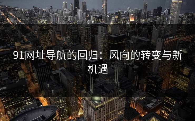 91网址导航的回归：风向的转变与新机遇