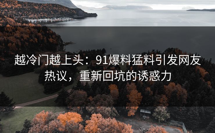 越冷门越上头：91爆料猛料引发网友热议，重新回坑的诱惑力