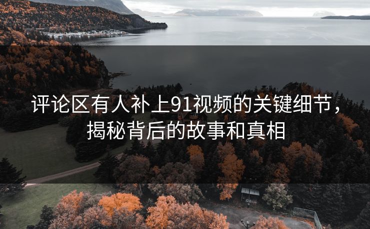 评论区有人补上91视频的关键细节，揭秘背后的故事和真相