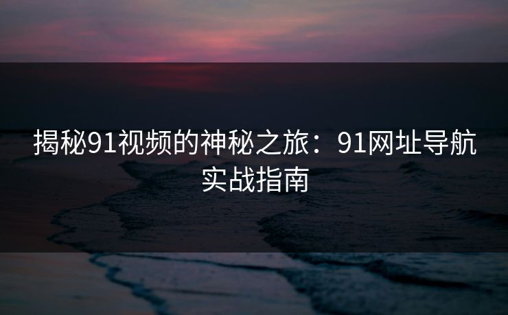 揭秘91视频的神秘之旅：91网址导航实战指南
