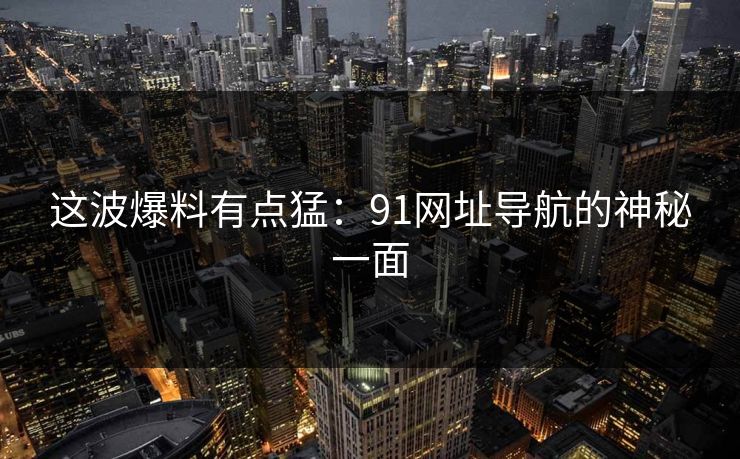 这波爆料有点猛：91网址导航的神秘一面